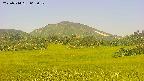 area3-20250714063052.jpg