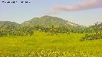 area3-20250714064051.jpg