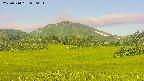 area3-20250714070053.jpg