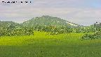 area3-20250714080052.jpg
