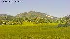 area3-20250714090050.jpg