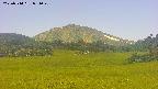 area3-20250714091050.jpg