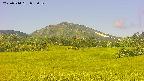 area3-20250714095051.jpg