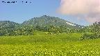 area3-20250714103052.jpg