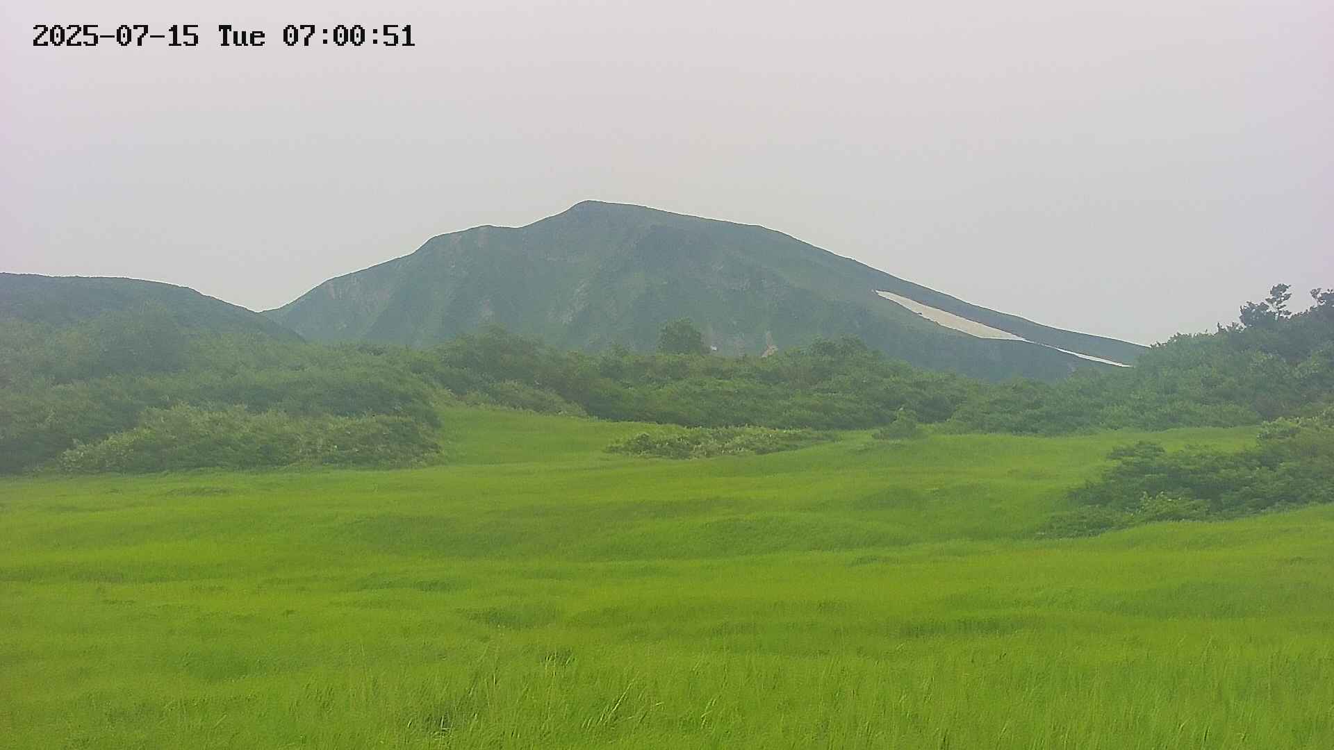 area3-20250715070051.jpg