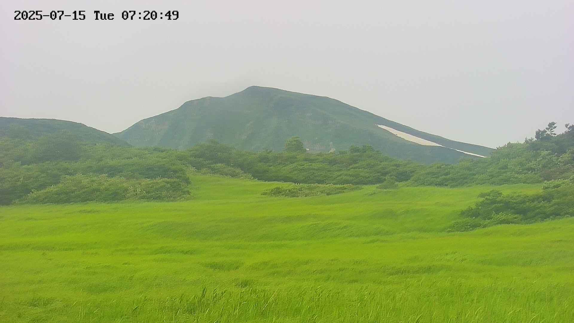 area3-20250715072050.jpg