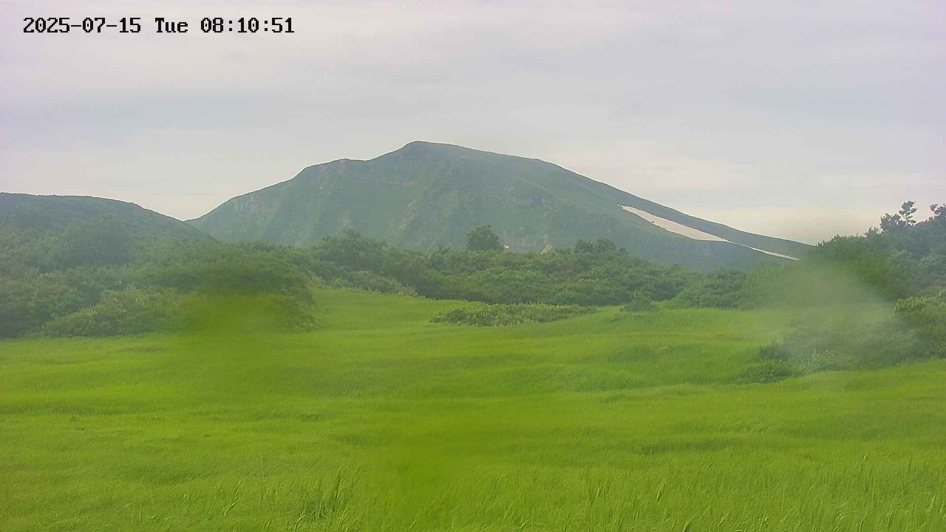 area3-20250715081051.jpg
