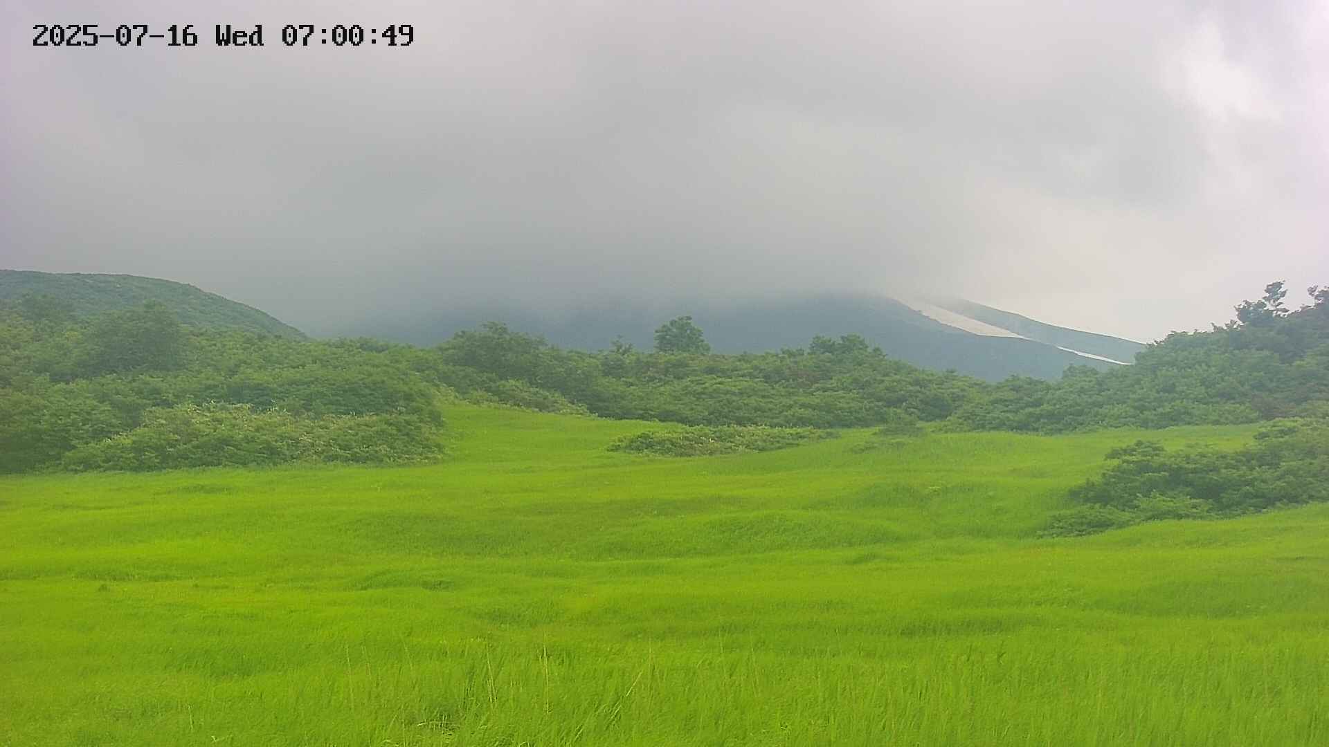 area3-20250716070049.jpg