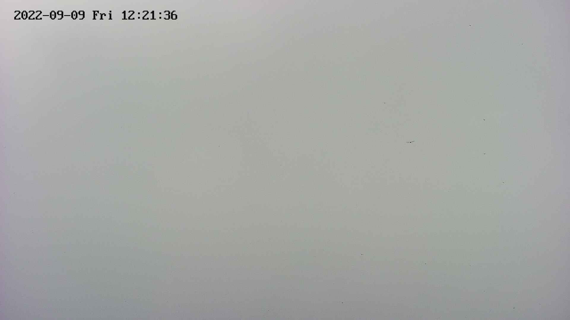area4-20220909122137.jpg