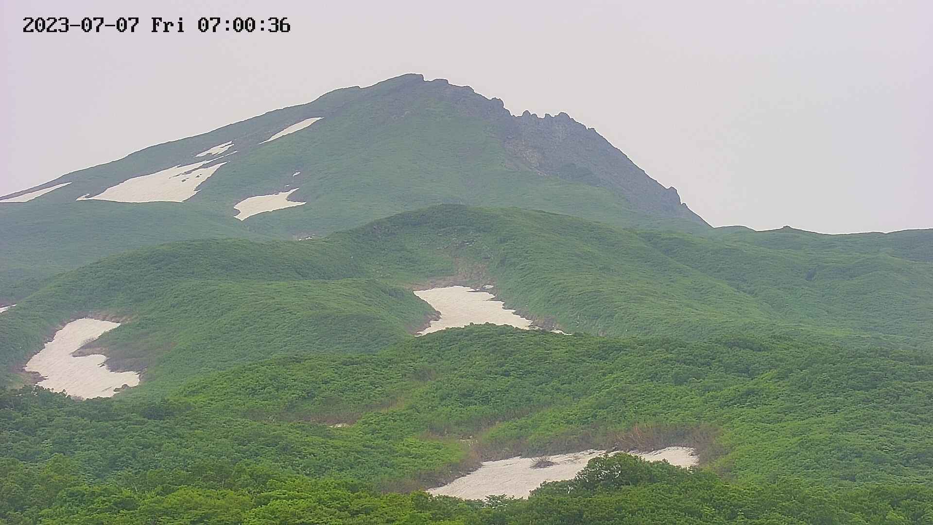 area4-20230707070037.jpg