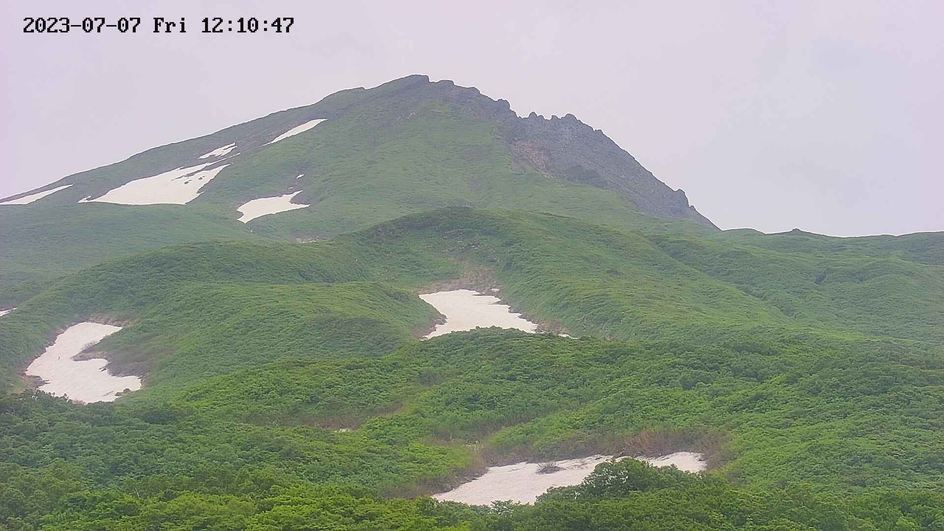 area4-20230707121050.jpg