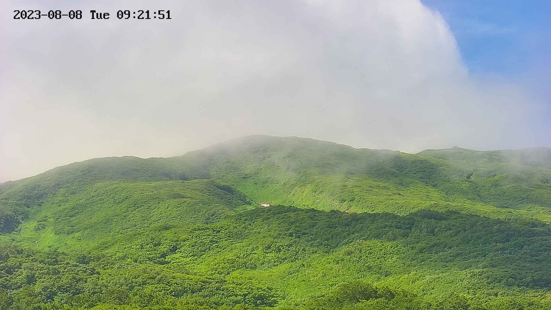 area4-20230808092220.jpg