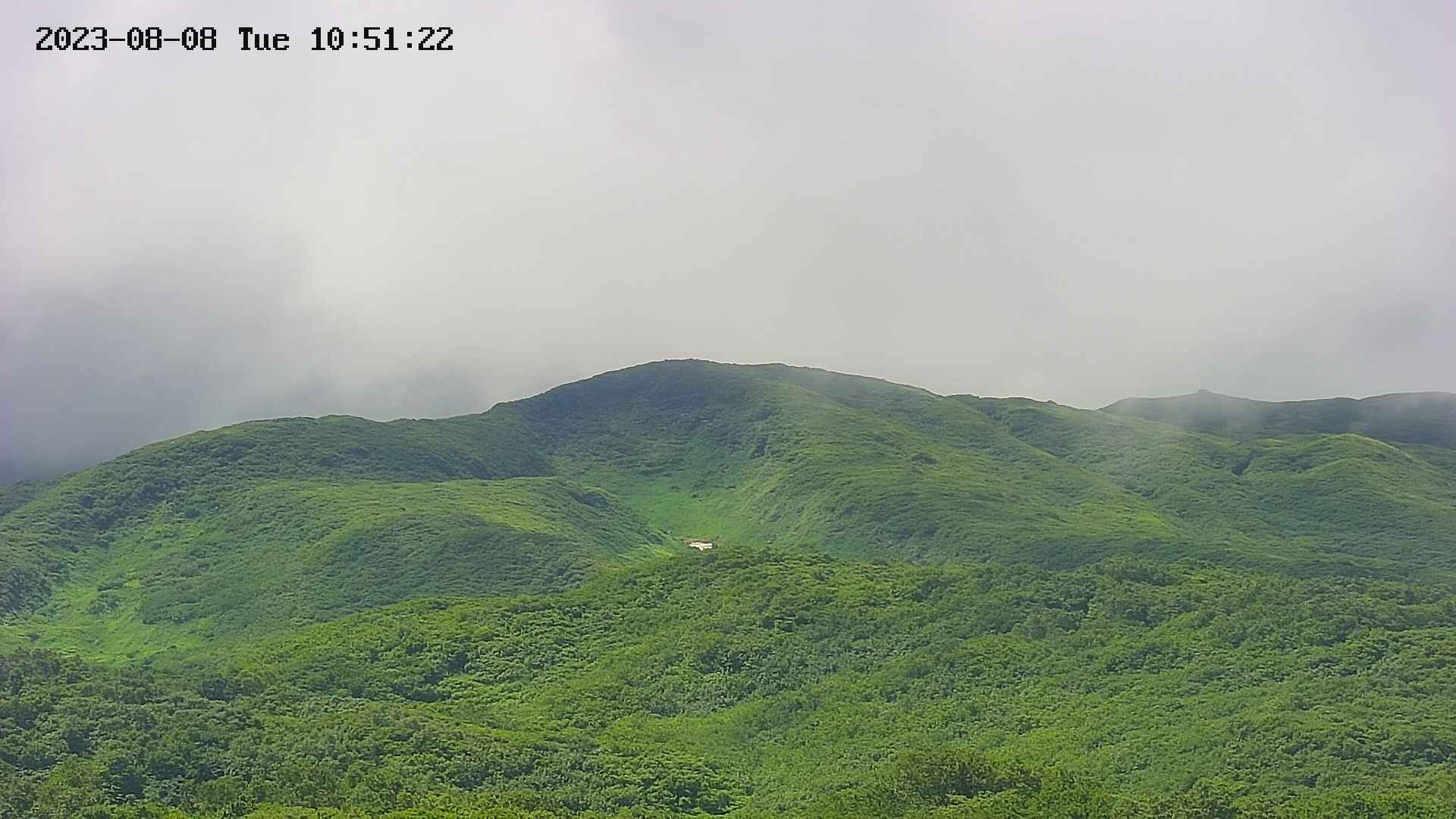 area4-20230808105151.jpg
