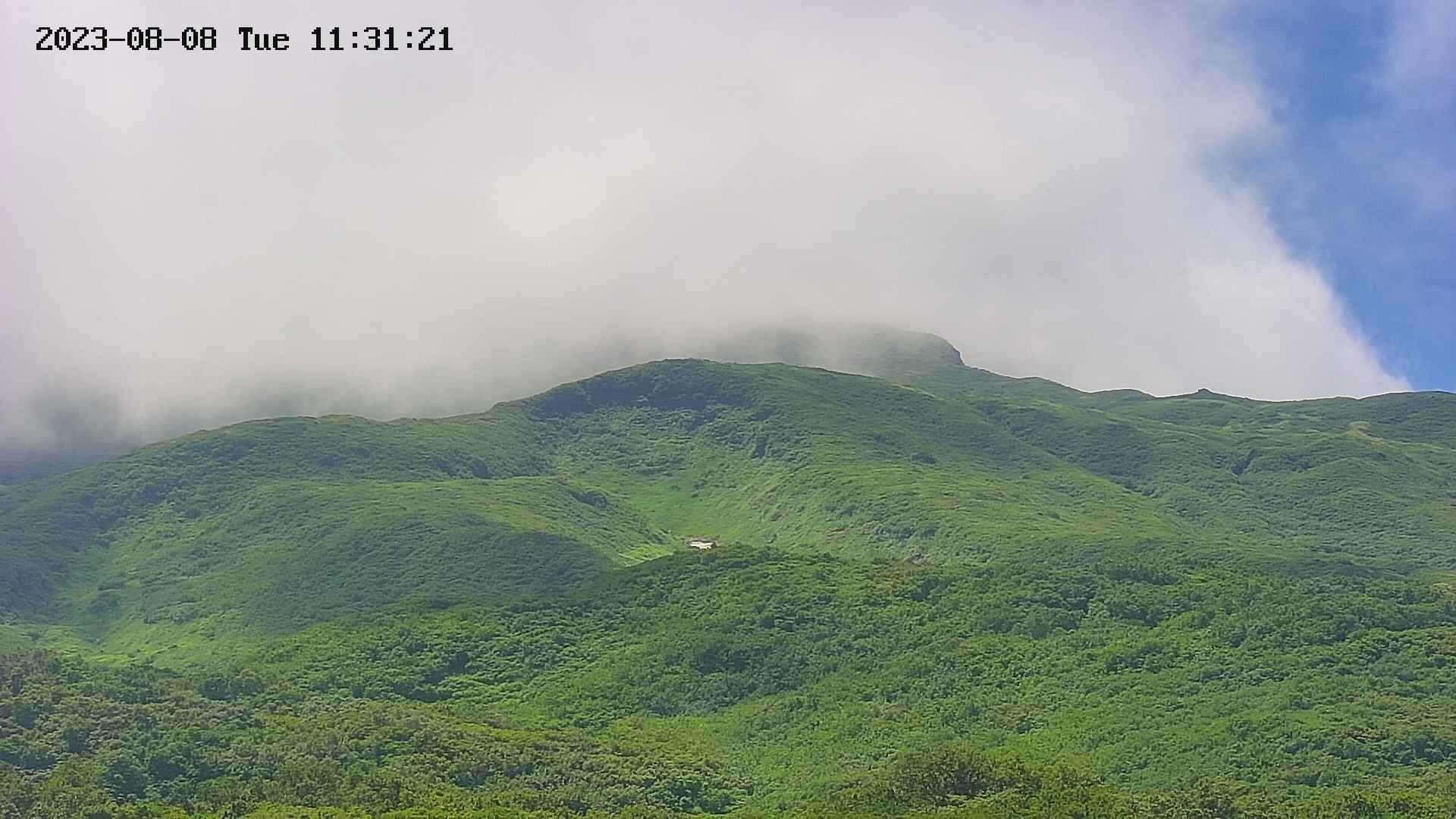 area4-20230808113143.jpg