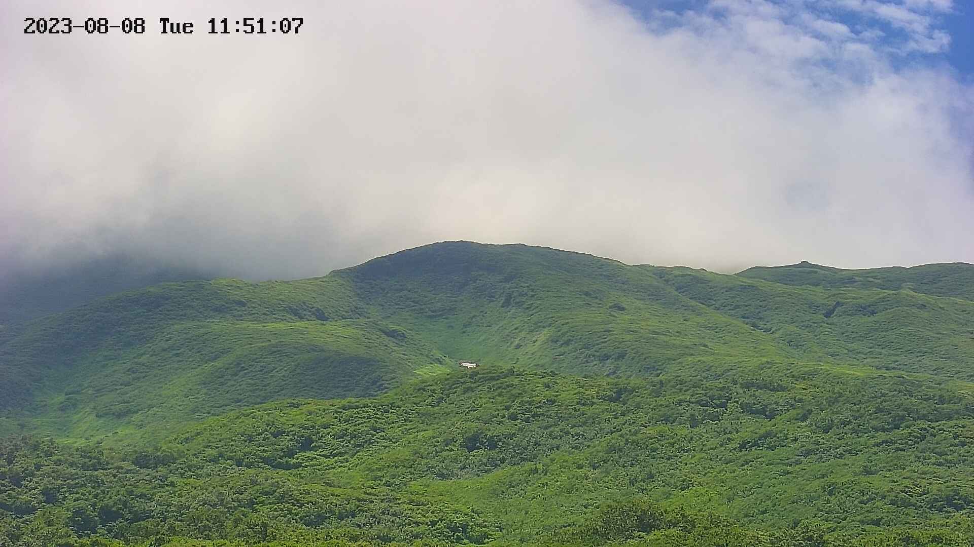 area4-20230808115130.jpg