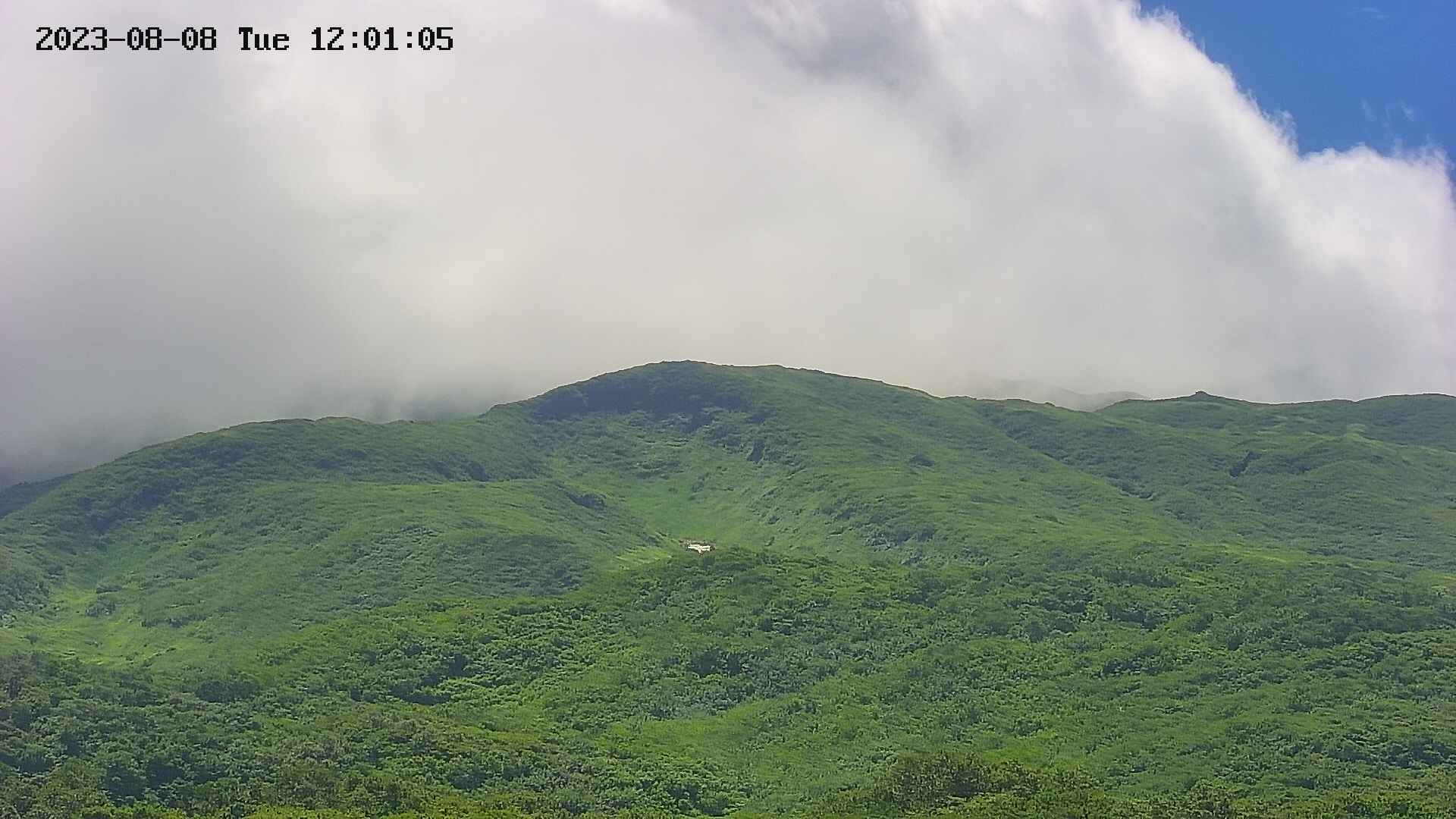 area4-20230808120128.jpg