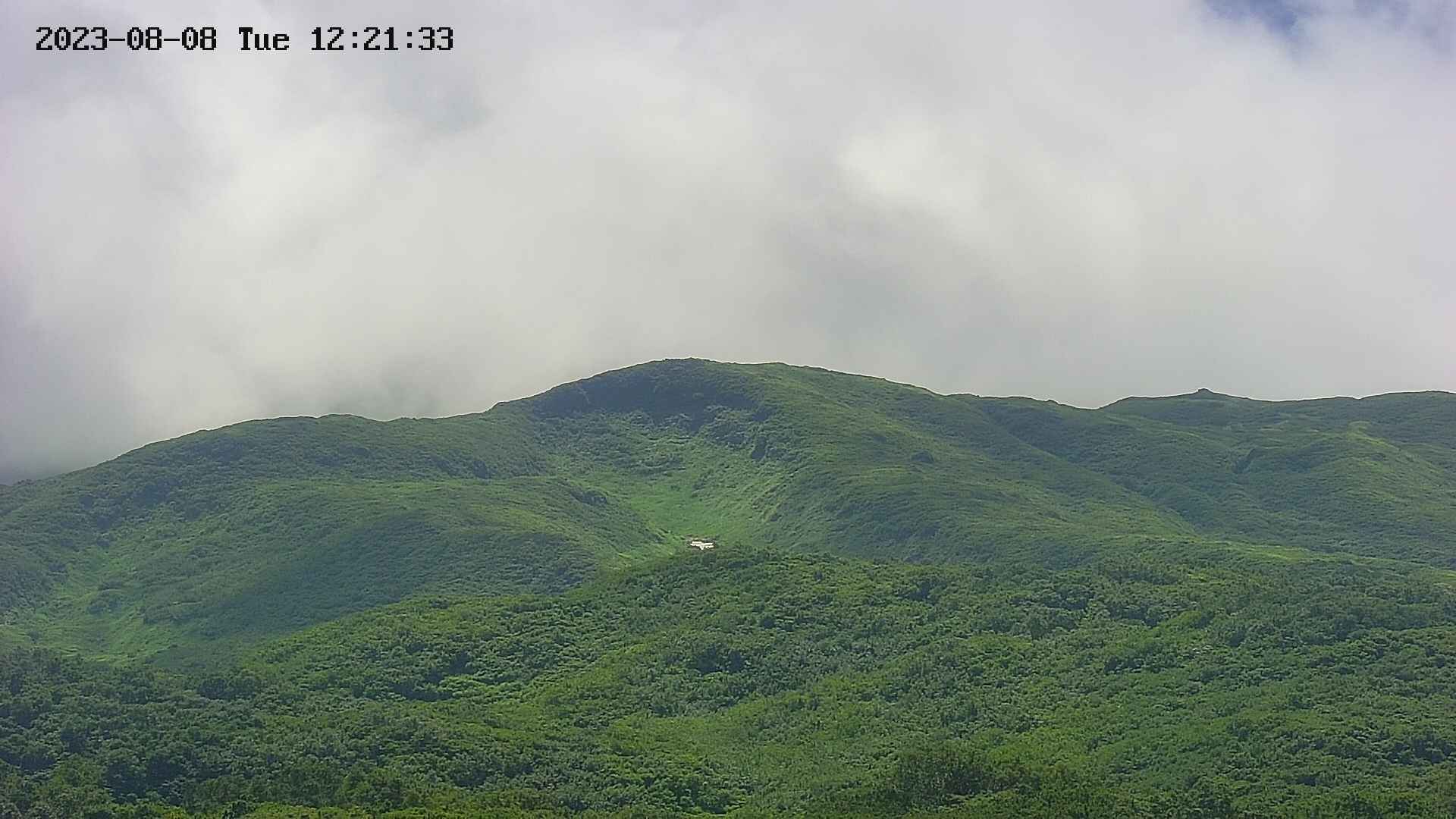 area4-20230808122215.jpg
