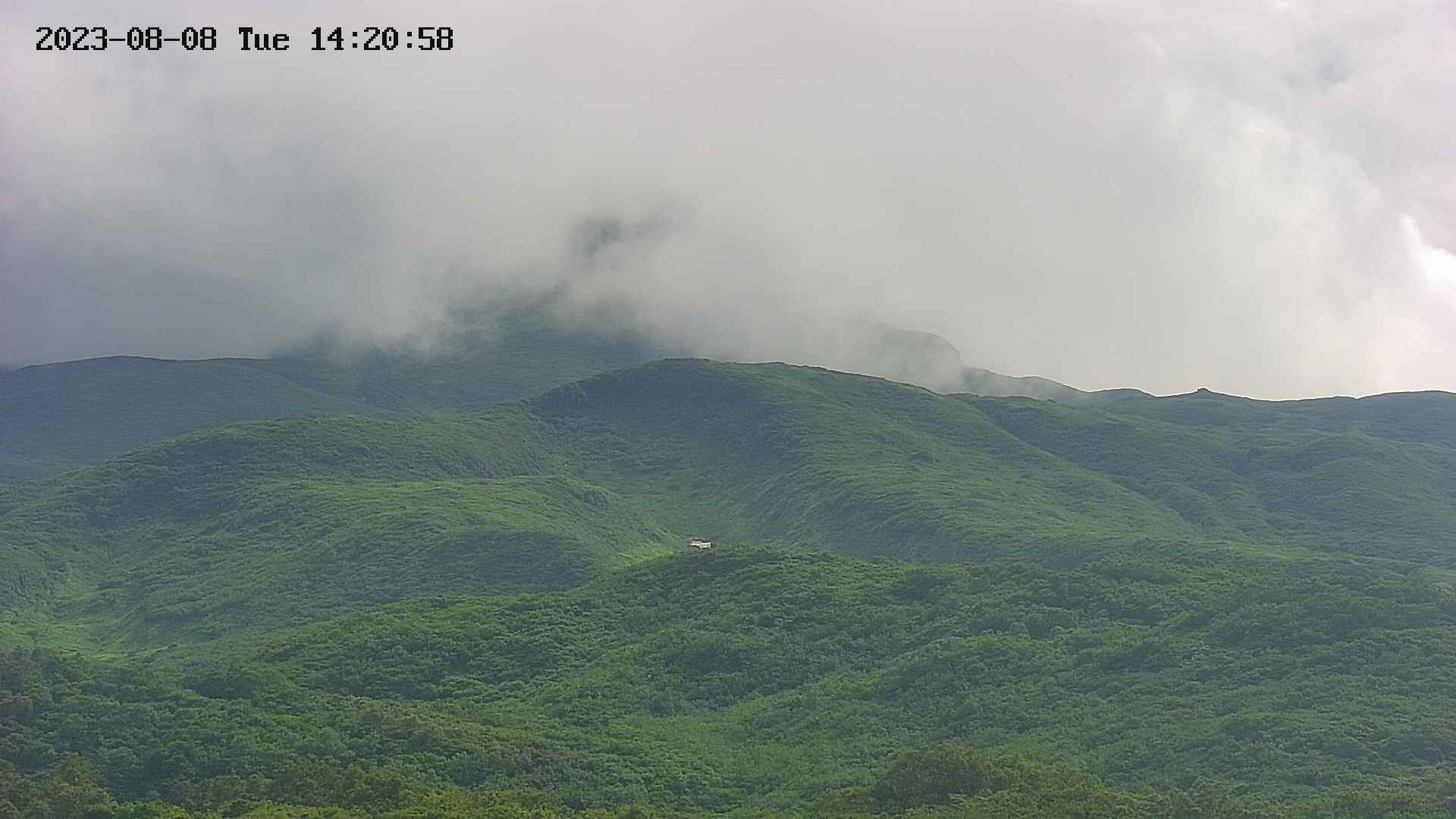 area4-20230808142115.jpg