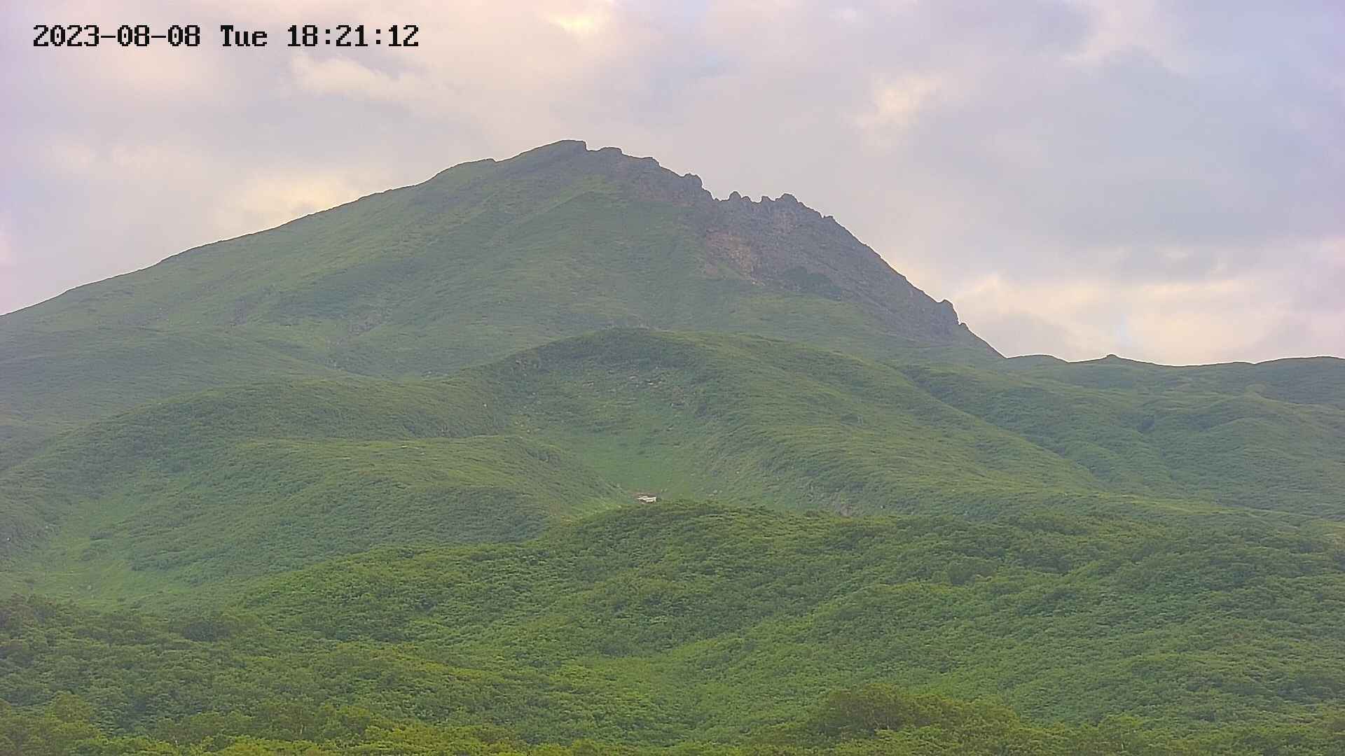 area4-20230808182128.jpg