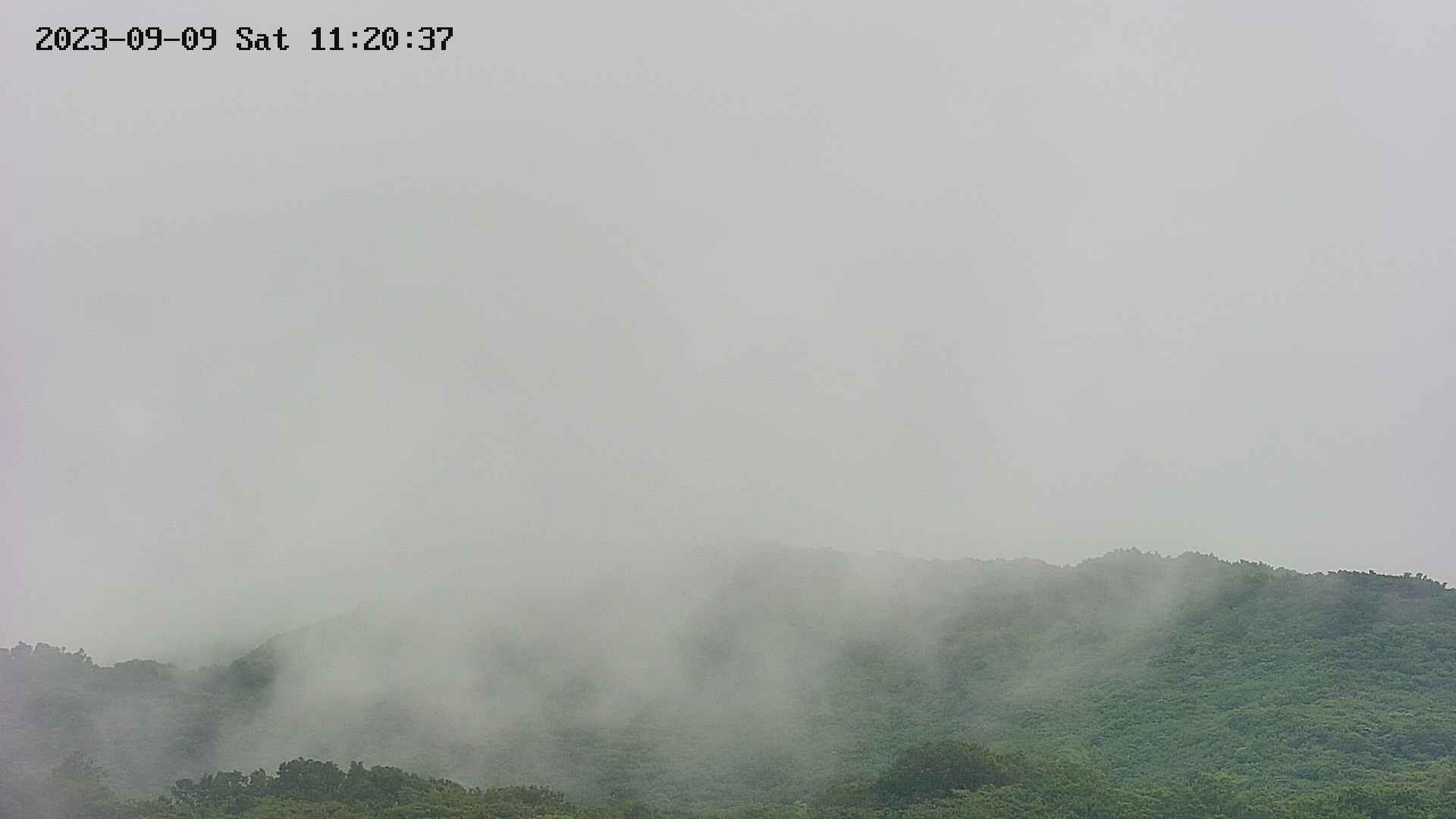 area4-20230909112038.jpg