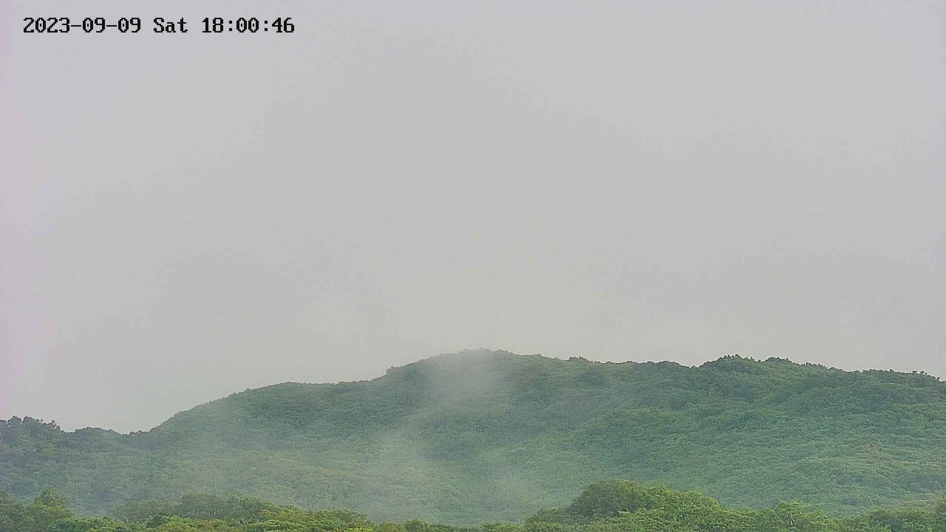 area4-20230909180048.jpg