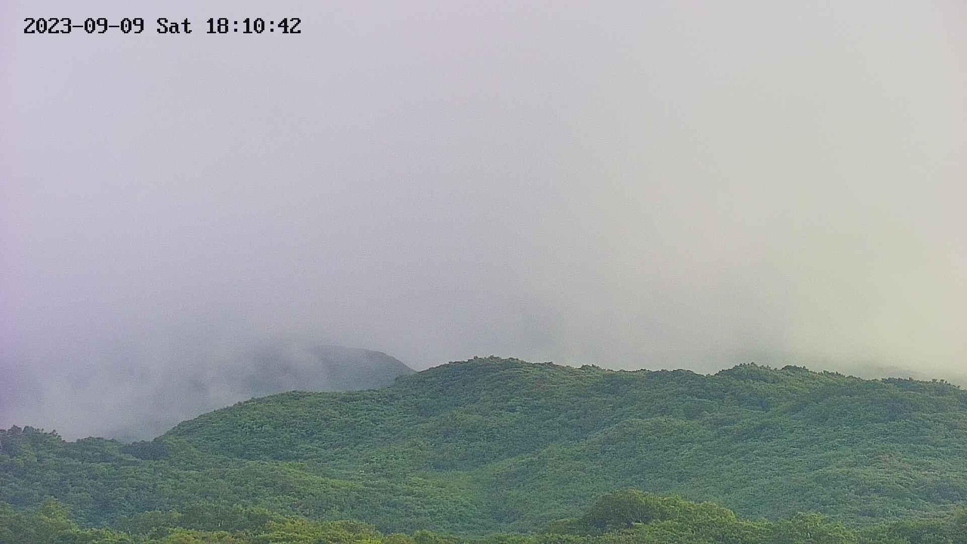 area4-20230909181045.jpg
