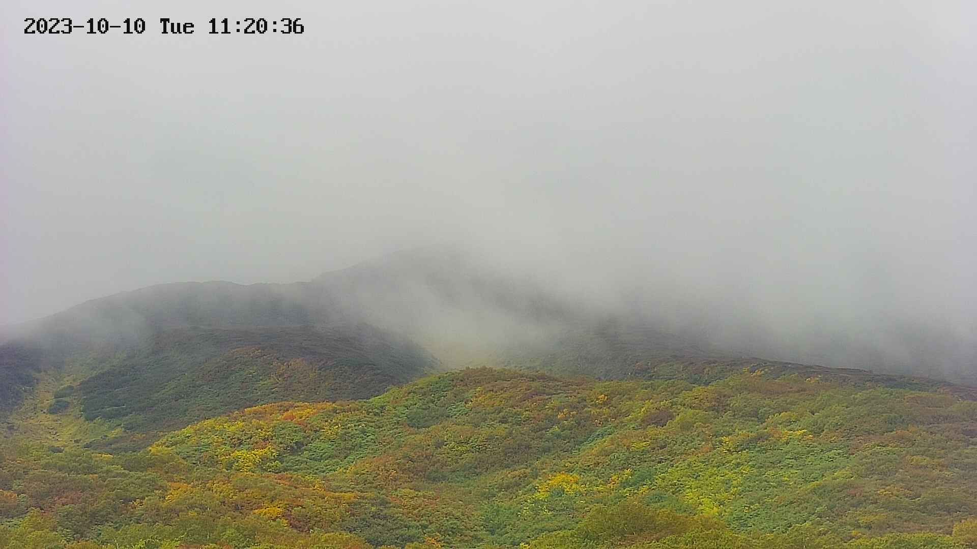 area4-20231010112038.jpg