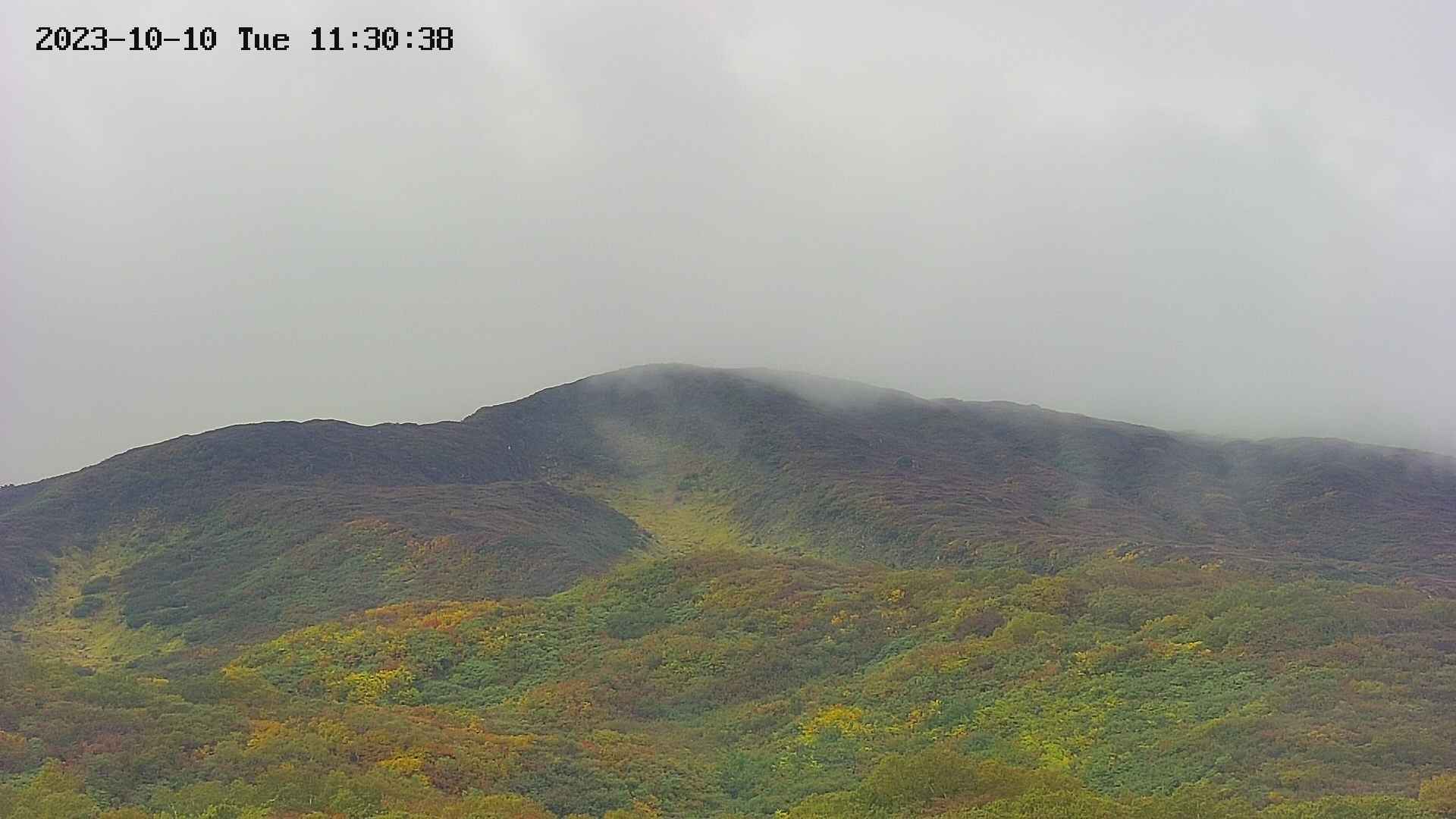 area4-20231010113039.jpg