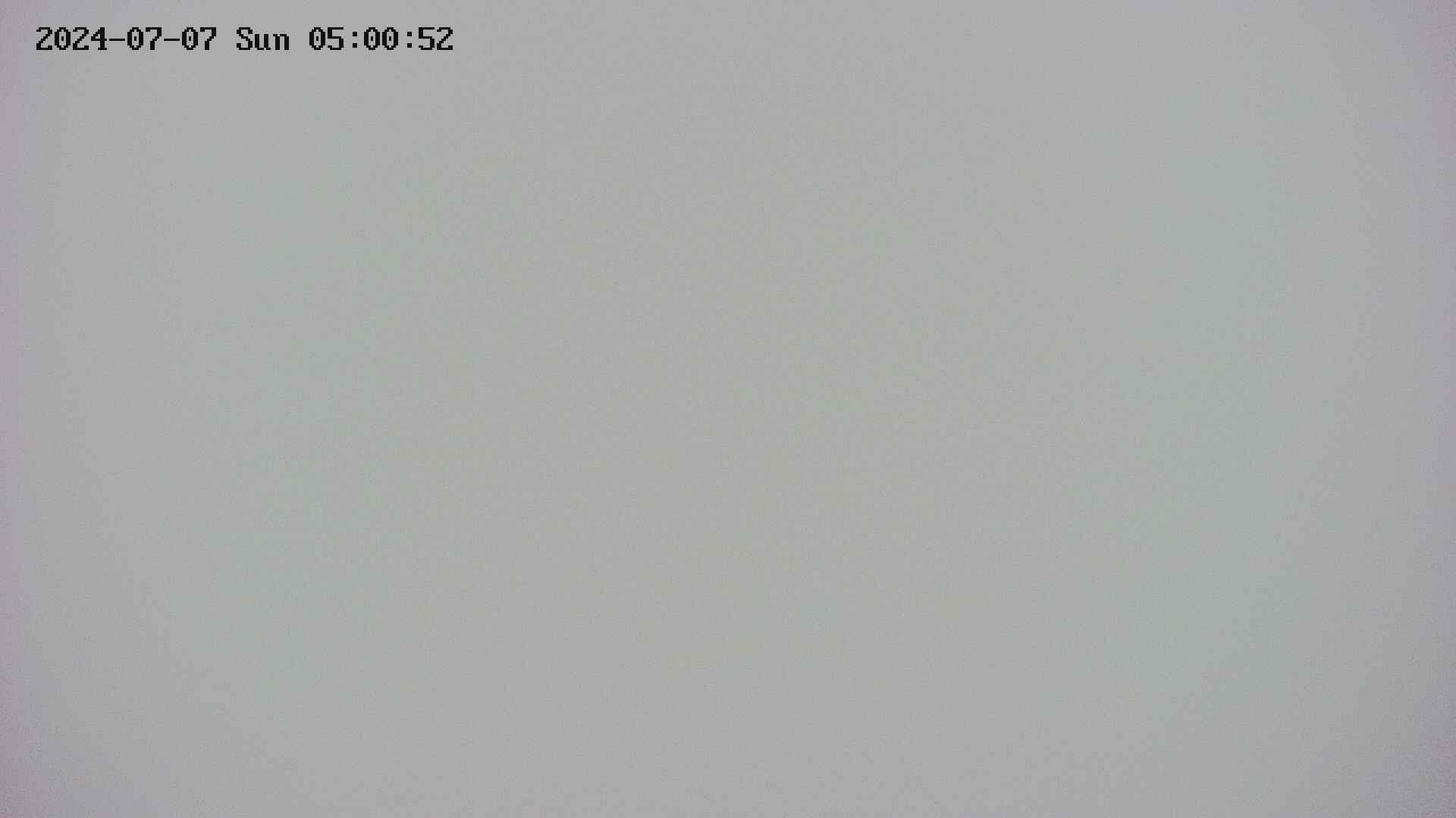 area4-20240707050055.jpg