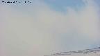 area4-20250424151101.jpg