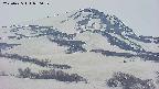 area4-20250425050058.jpg