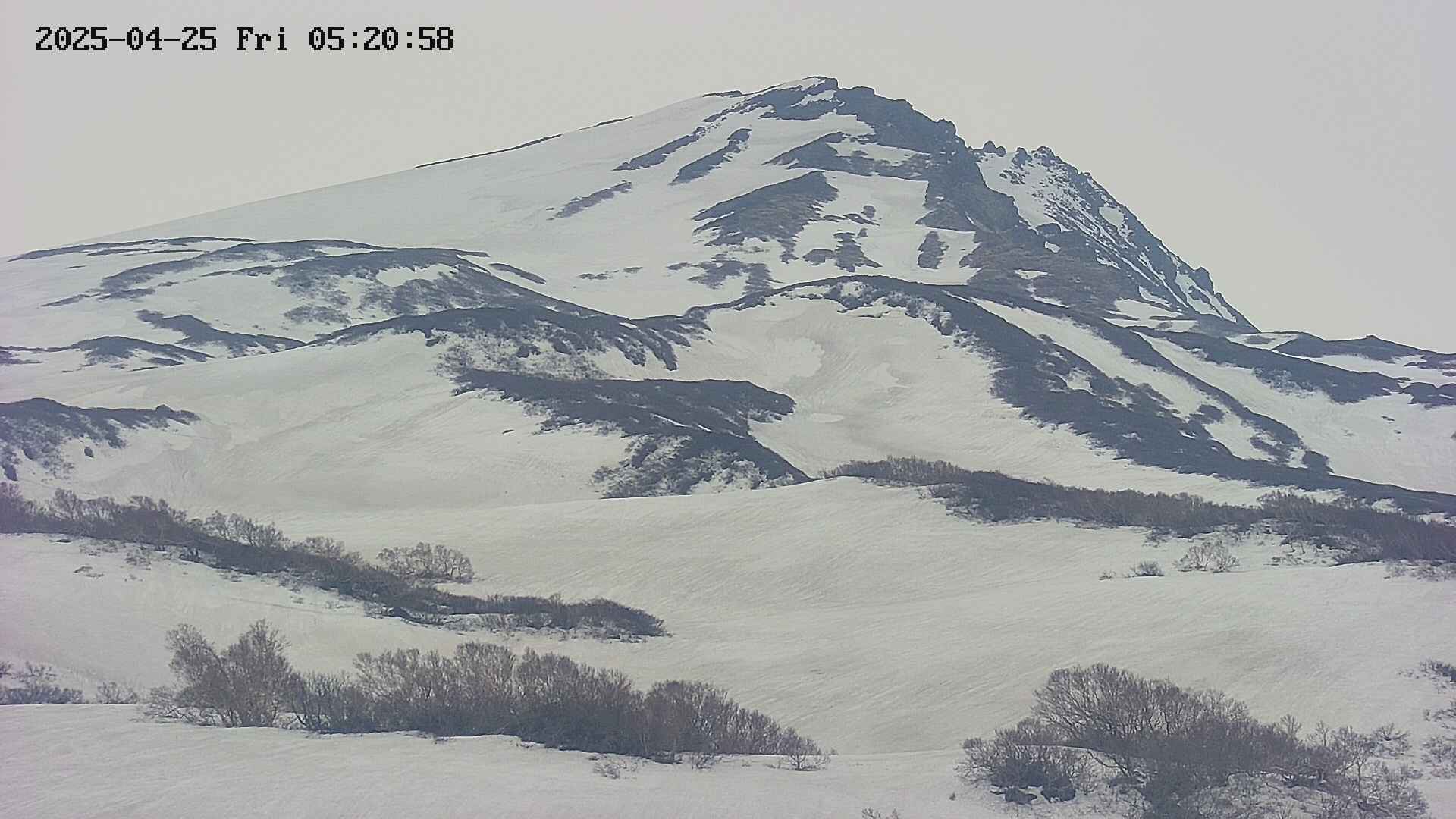 area4-20250425052059.jpg