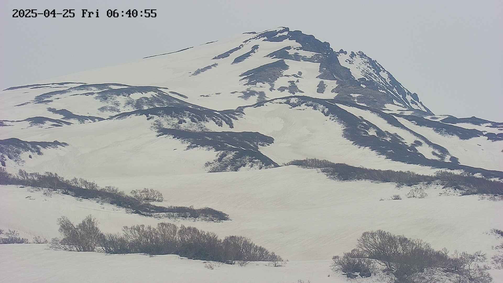 area4-20250425064056.jpg