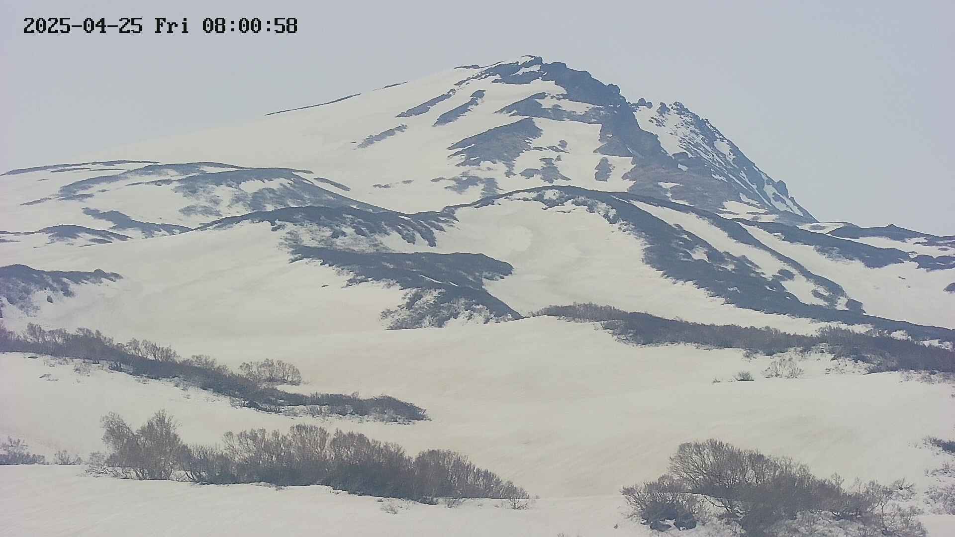 area4-20250425080100.jpg
