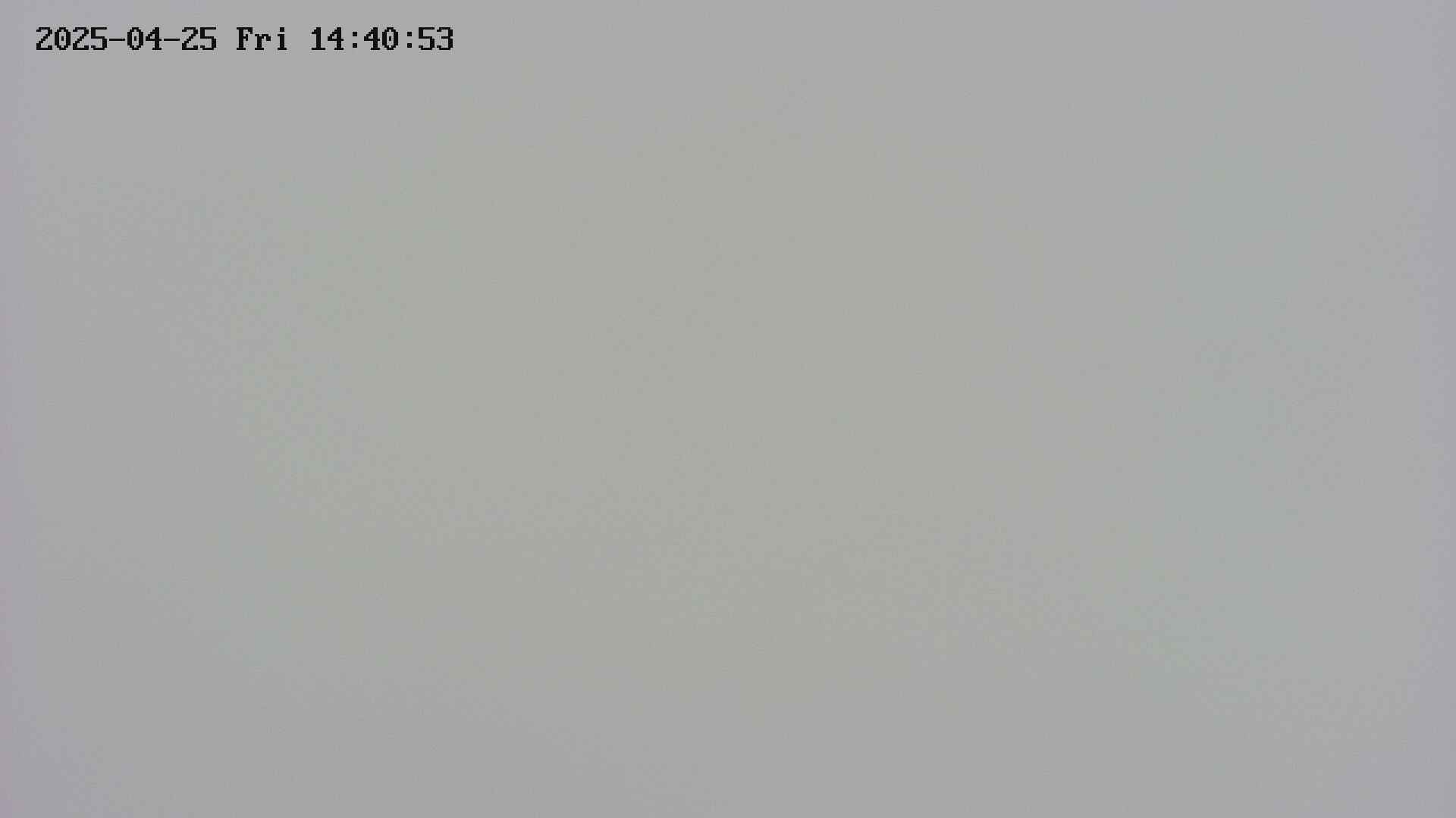 area4-20250425144055.jpg