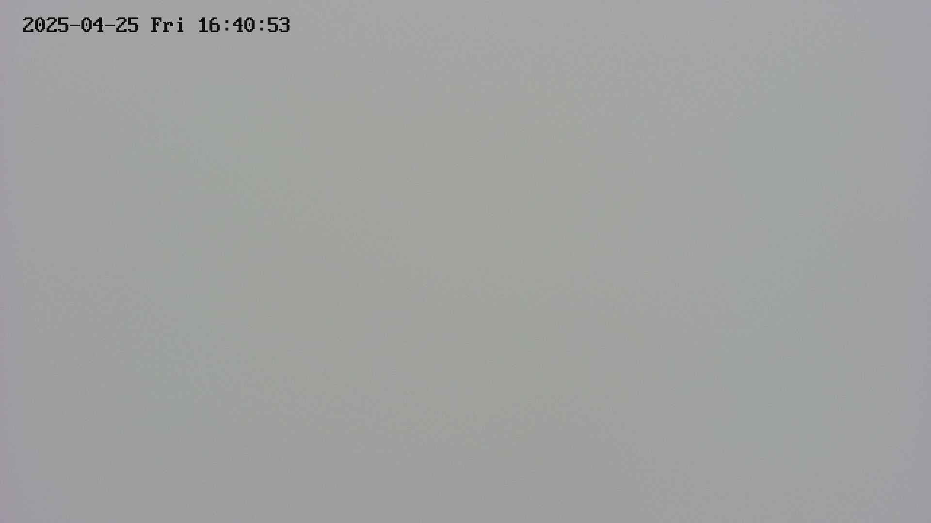 area4-20250425164054.jpg