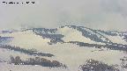 area4-20250426060057.jpg