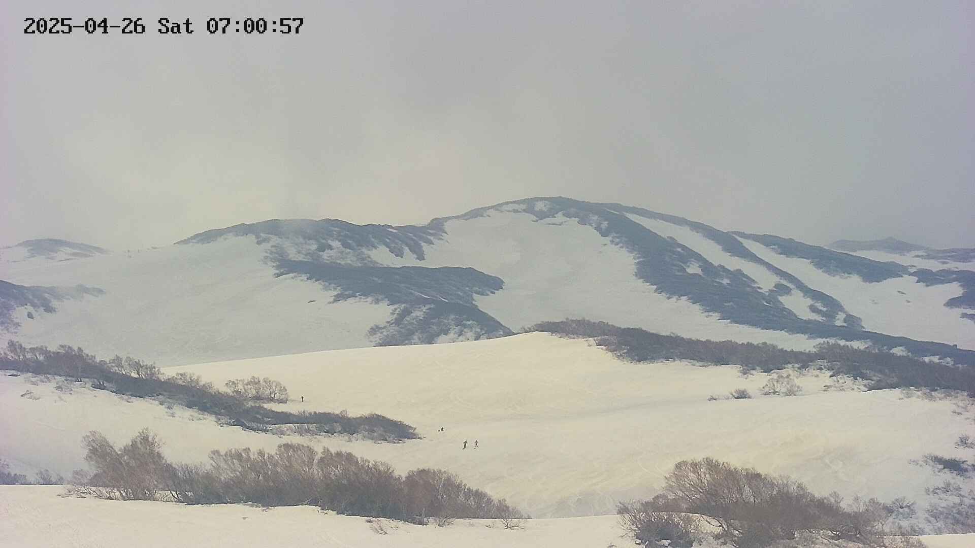 area4-20250426070059.jpg