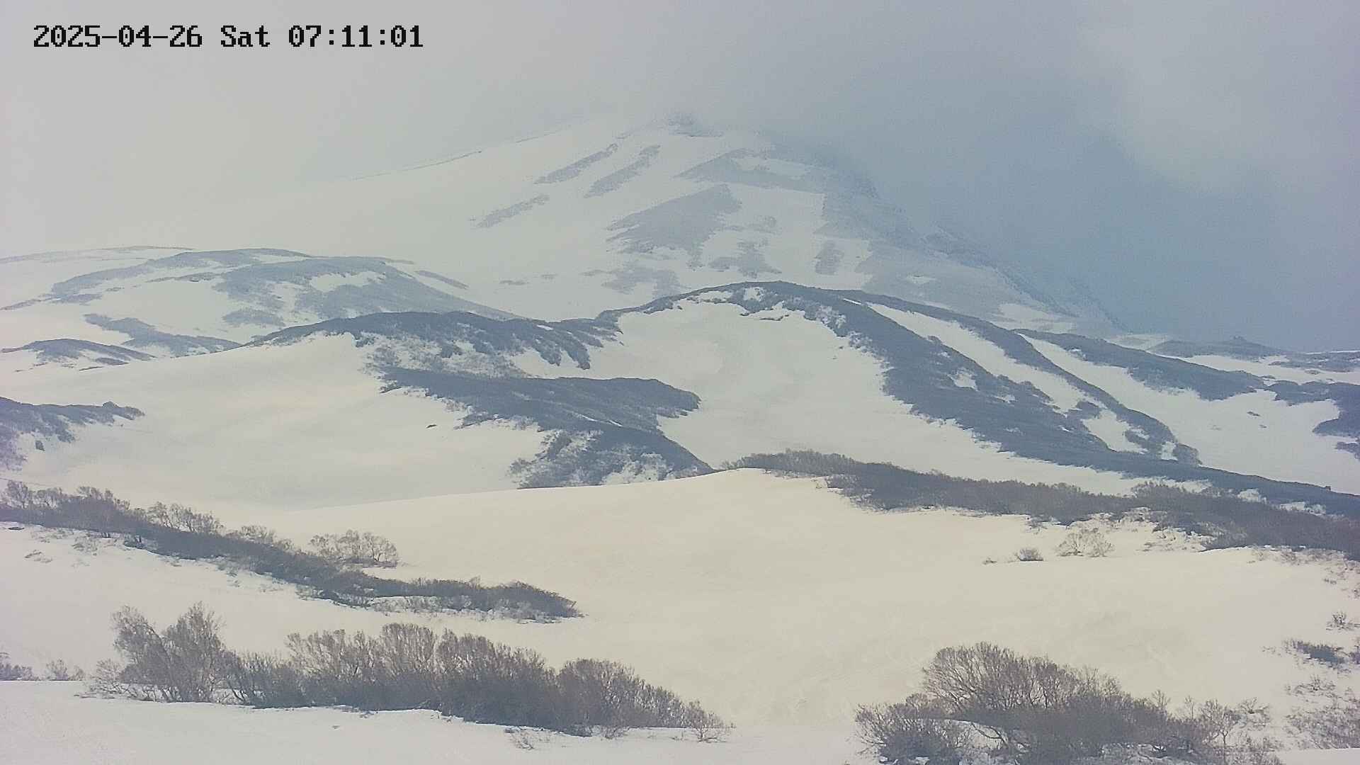 area4-20250426071104.jpg
