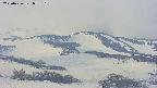 area4-20250426072105.jpg