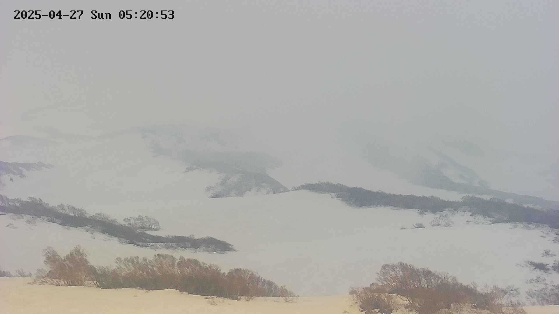 area4-20250427052055.jpg