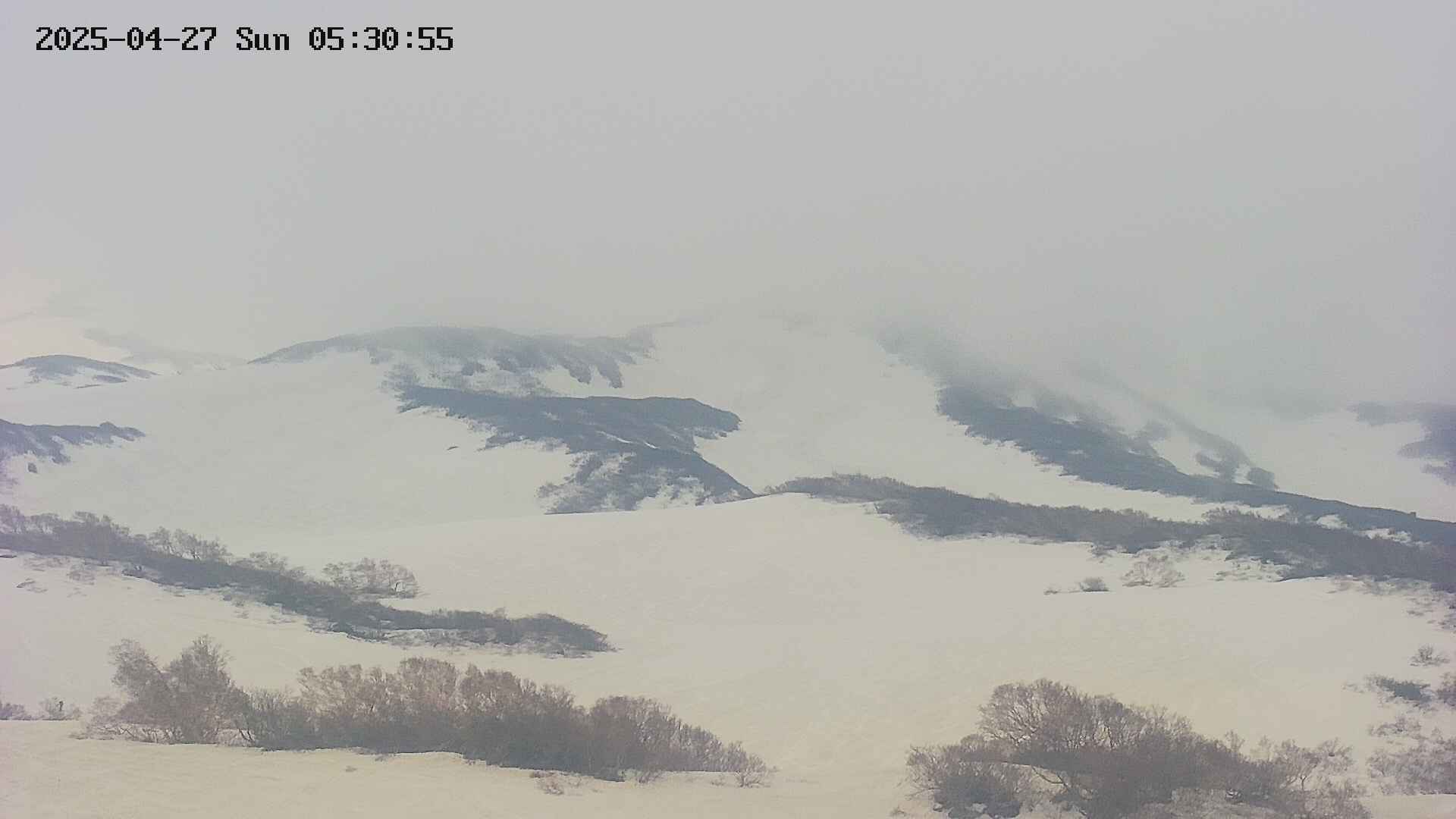 area4-20250427053057.jpg