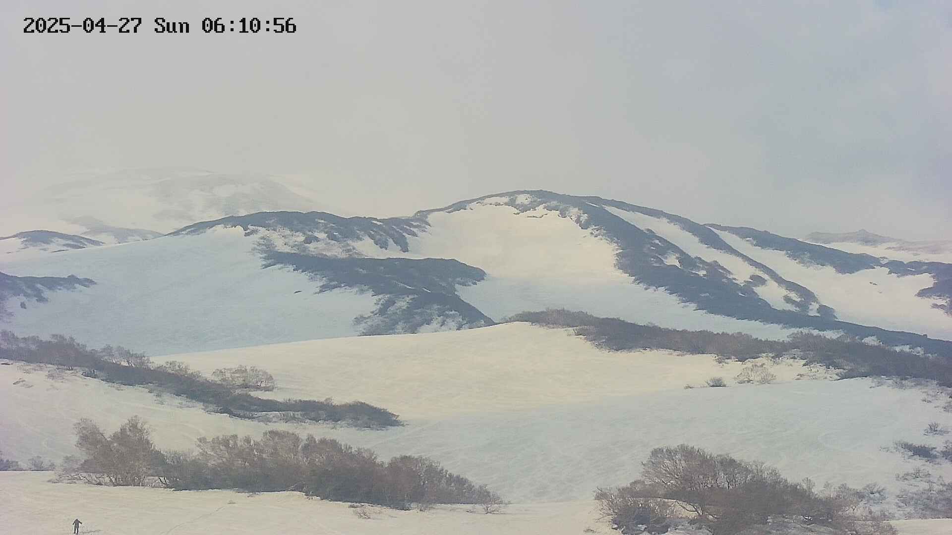 area4-20250427061057.jpg
