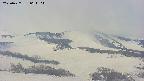 area4-20250427064108.jpg