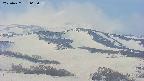 area4-20250427065058.jpg