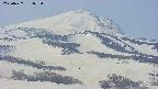 area4-20250427072057.jpg