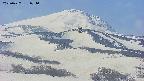 area4-20250427074058.jpg