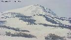 area4-20250427075350.jpg