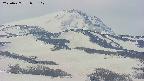 area4-20250427092110.jpg