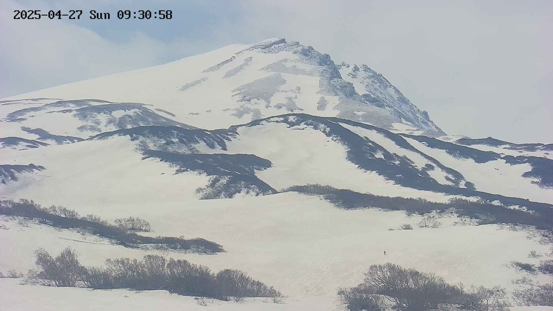 area4-20250427093104.jpg